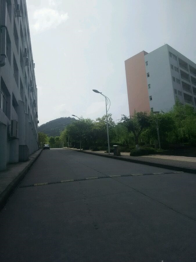 칤óְҵѧԺУ԰