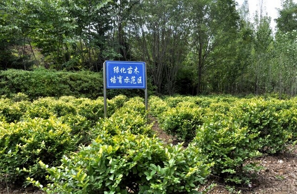 ҵְҵѧԺУ԰
