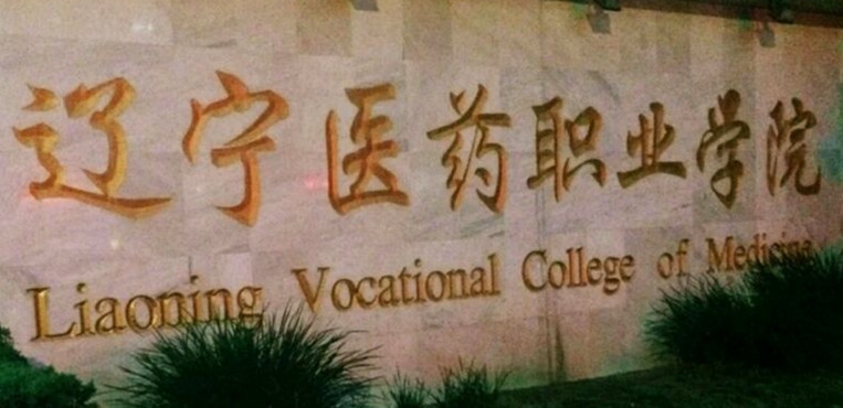 ҽҩְҵѧԺУ԰