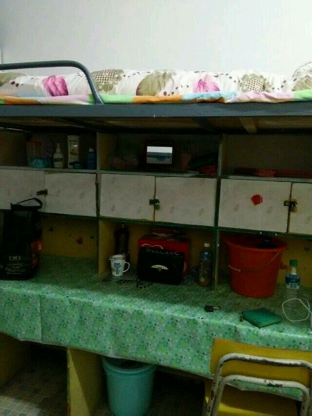 óְҵѧԺУ԰
