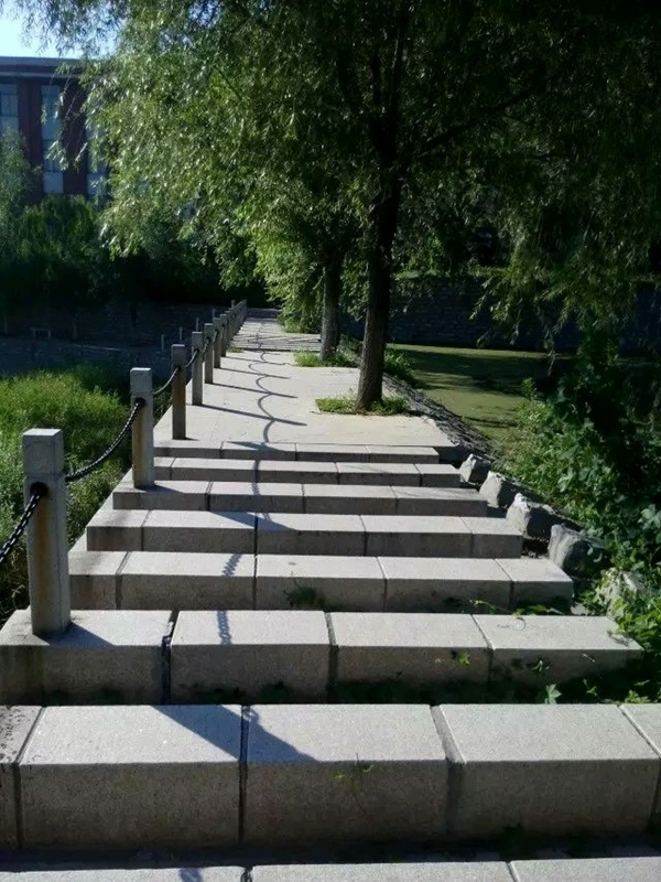 ͲʦߵרѧУУ԰