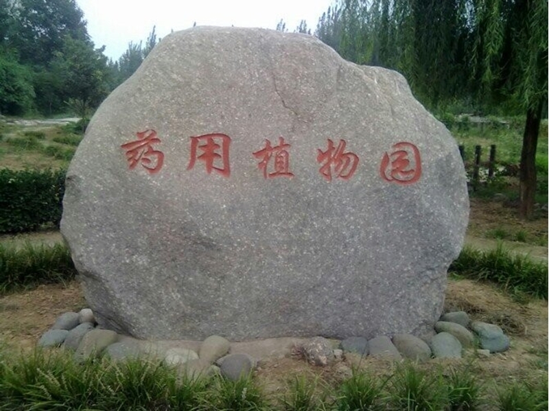 ֣ҽѧߵרѧУУ԰