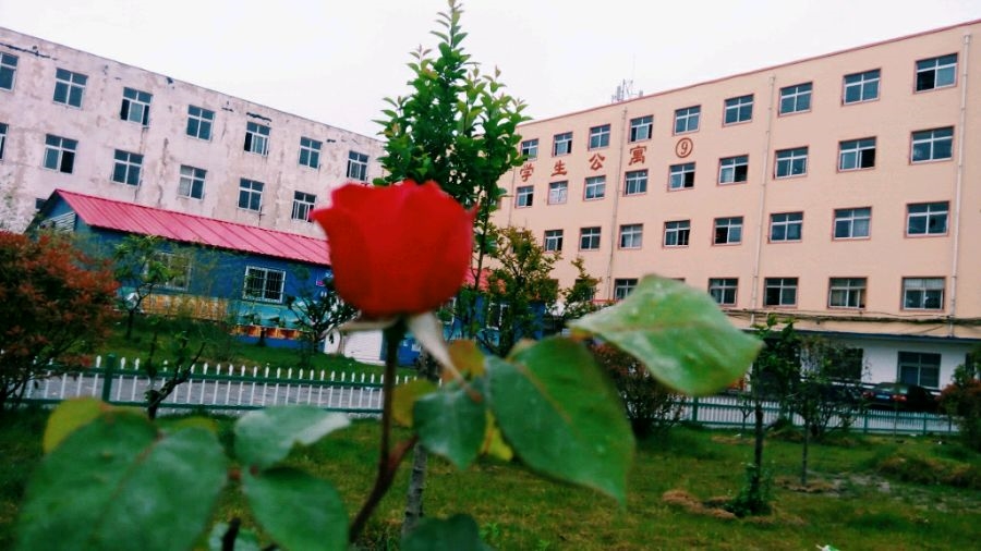 ֣ݵְҵѧԺУ԰