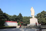 鱨ۡԱ鵳ᱨ棺µʱʹ  ŷഺ(ͼ)