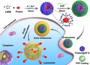 ϼڿڡJournal of the American Chemical Societyģ󻯵Ľ-л׿ʵȻԵڻϸеĸЧͣͼģ