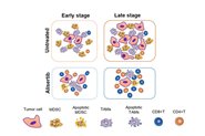 йƴCancer Research־Ҫоɹ