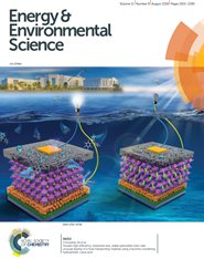ѧԺִڿڡEnergy & Environmental ScienceϷо