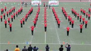ѧչԼᴺ?Բ롱2019֮ϵл