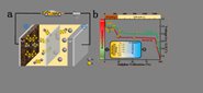 У˶ʿоԵһڡAdvanced Functional Materials