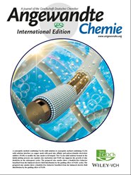 Angewandte封面报道中南大学唐有根-王海燕团队最新成果