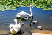 ů  ִѧίʦʱӦ-ִѧ