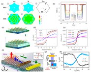 ϴѧ˿ڸˮƽSCIڿNano-Micro LettersϷ